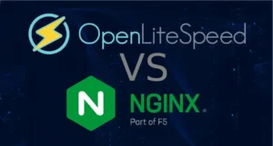 OpenLiteSpeed vs Nginx: Key Differences and Performance Compared